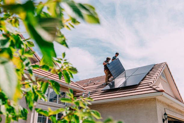 Best Roof Moss and Algae Removal  in Belterra, TX