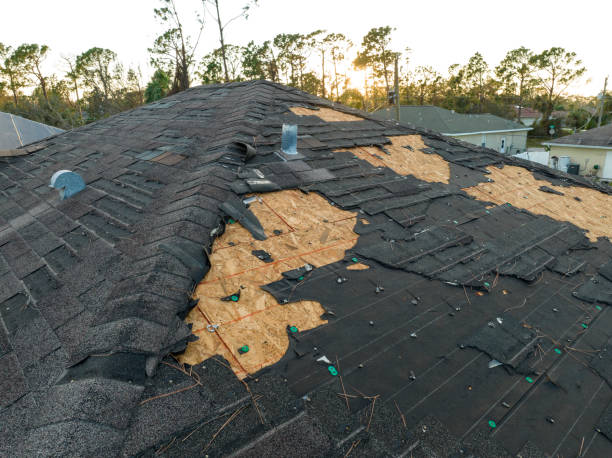 Best Emergency Roof Repair Services  in Belterra, TX